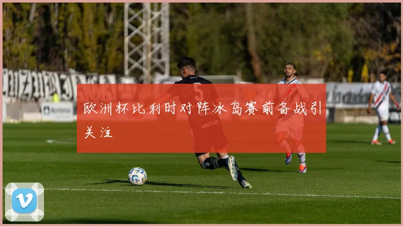 欧洲杯比利时对阵冰岛赛前备战引关注