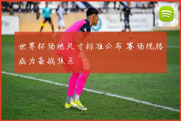 世界杯场地尺寸标准公布 赛场规格成为备战焦点