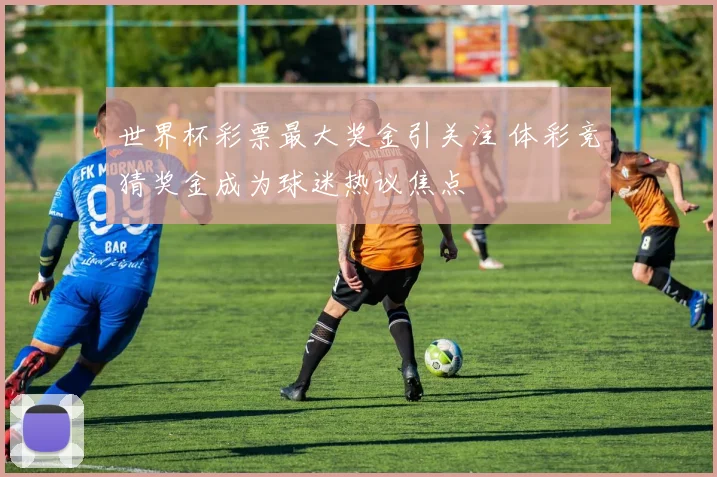 世界杯彩票最大奖金引关注 体彩竞猜奖金成为球迷热议焦点